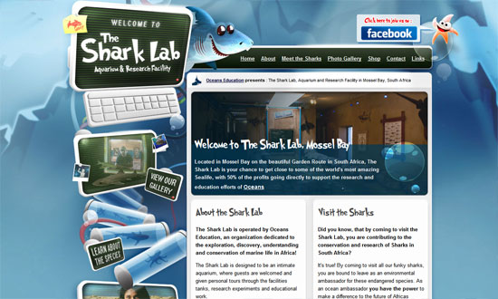 The Shark Lab Aquarium and Research Facility, Mossel Bay