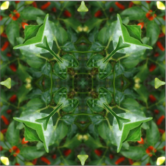 kaleidoscope canvas