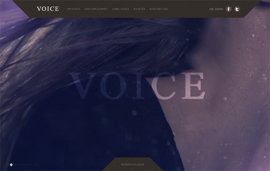 Voice website